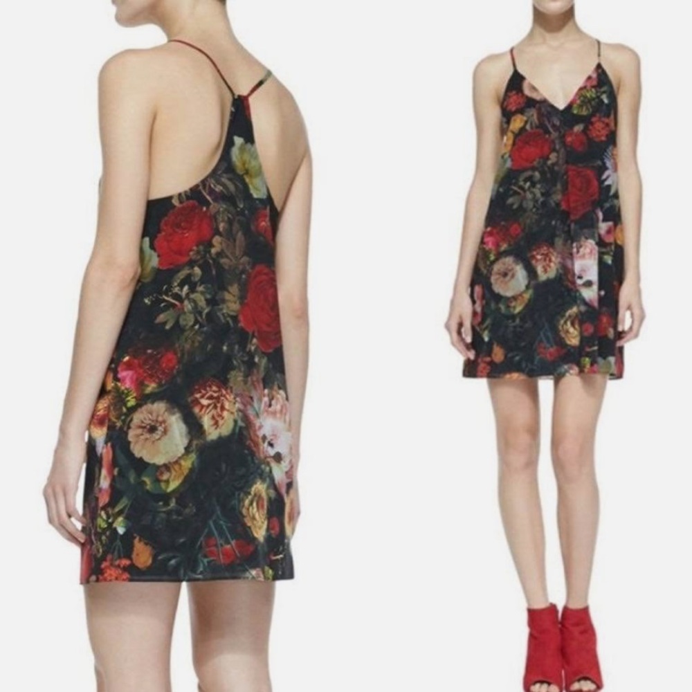 Alice + Olivia Fierra Floral Print Chiffon Dress
